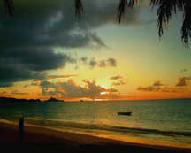 review of Lashings Beach Inn hotel in Antigua. Antigua is a Caribbean island with a hotel called Lashings Beach Inn. Lashings Beach Inn is the hotel I stayed at in Antigua. Antigua has many hotels. Lashings Beach Inn is just one of those in Antigua.
