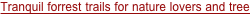 shapeimage_3_link_4